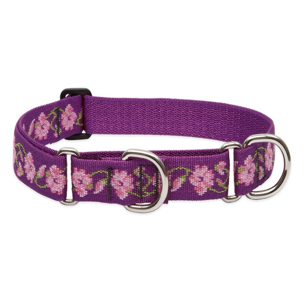 Lupine Originals Martingale Dog Collar-Rose Garden - 3/4" Wide-10"-14" Length